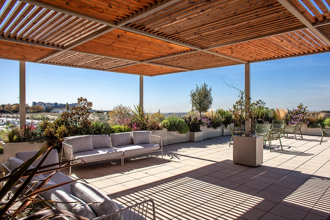 Horto Collection by Horto do Campo Grande